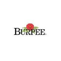 Burpee Coupon